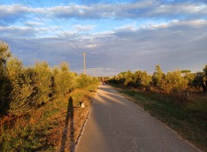 20240920_073148[1].jpeg